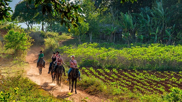 cuba vinales