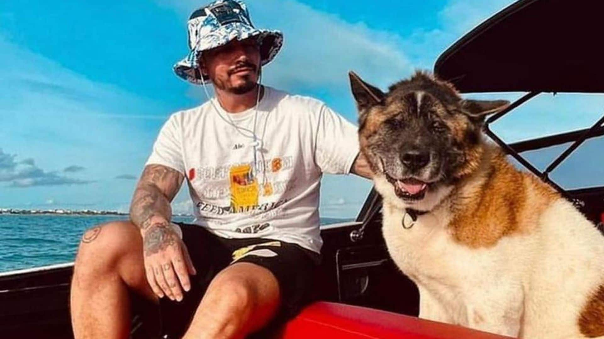 J Balvin despide a su fiel perrito que lo acompañó por 14 años: ‘Acaba de morir Enzo, mi gran parcero’