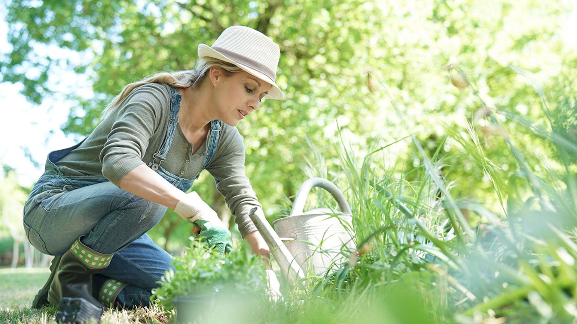 Protege tu pequeña huerta de las plagas de forma natural