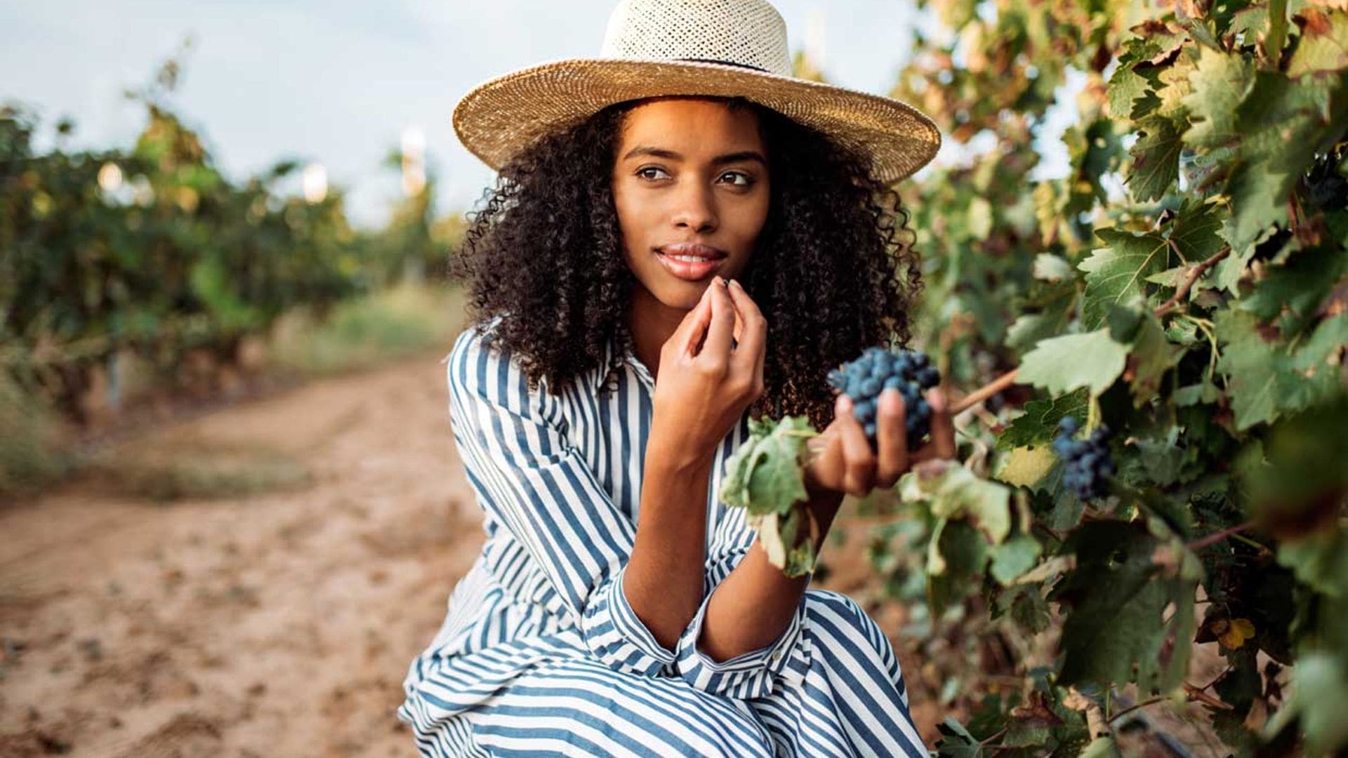 ¿Sabes cuáles son las 10 frutas y verduras más populares?