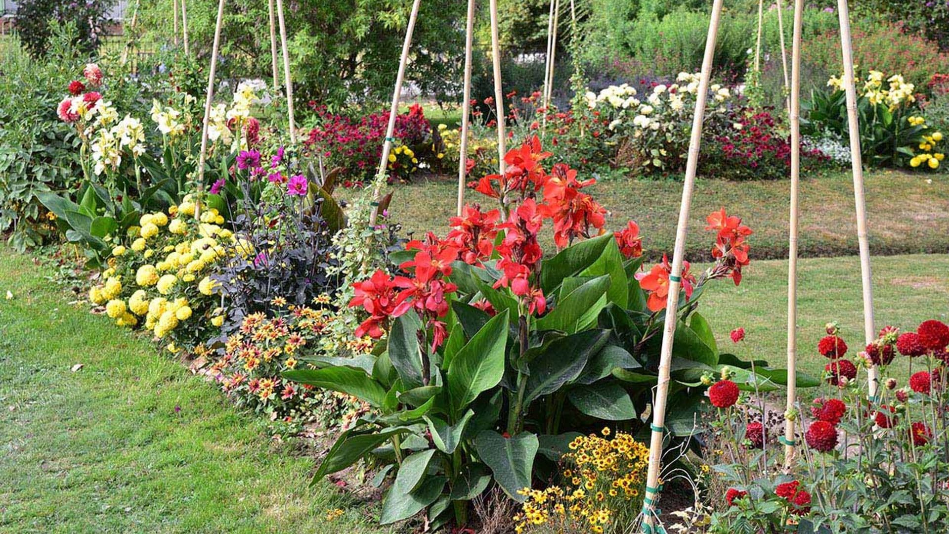 Todo lo que tienes que saber para entutorar las plantas del jardín y del huerto