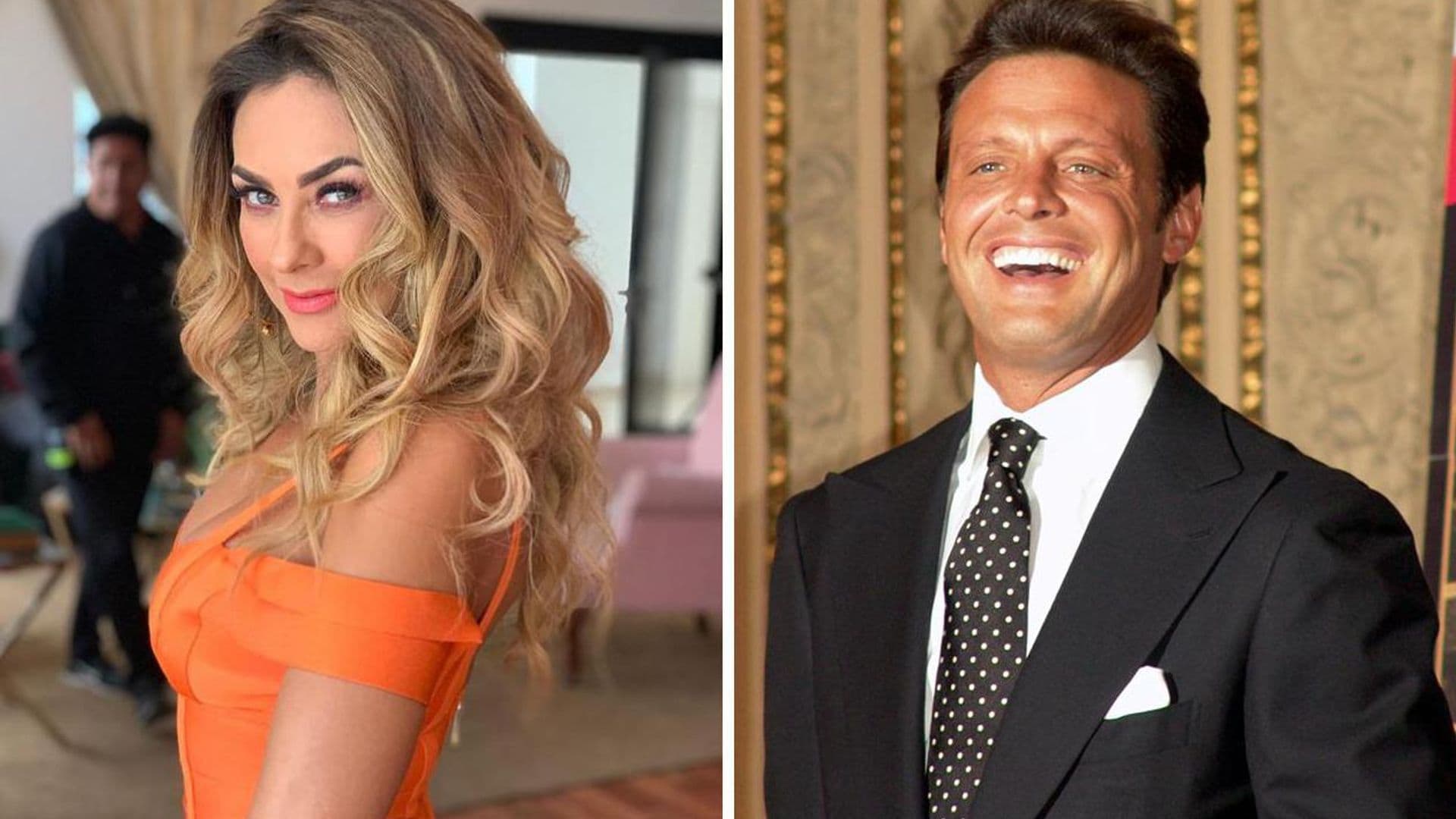 Abogado de Aracely Arámbula niega orden de arresto contra Luis Miguel