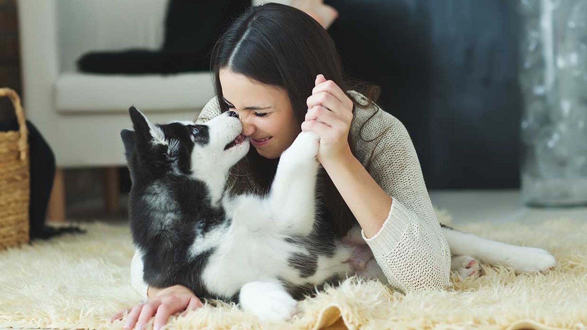 Por qué no deberías tratar a tu perro como si fuera tu hijo