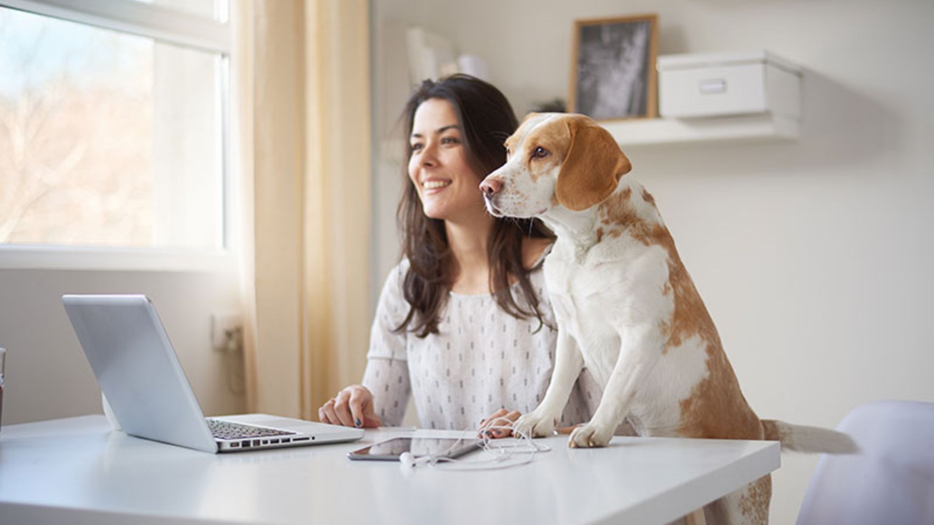 Díselo a tu jefe: esto pasará si te llevas a tu perro al trabajo