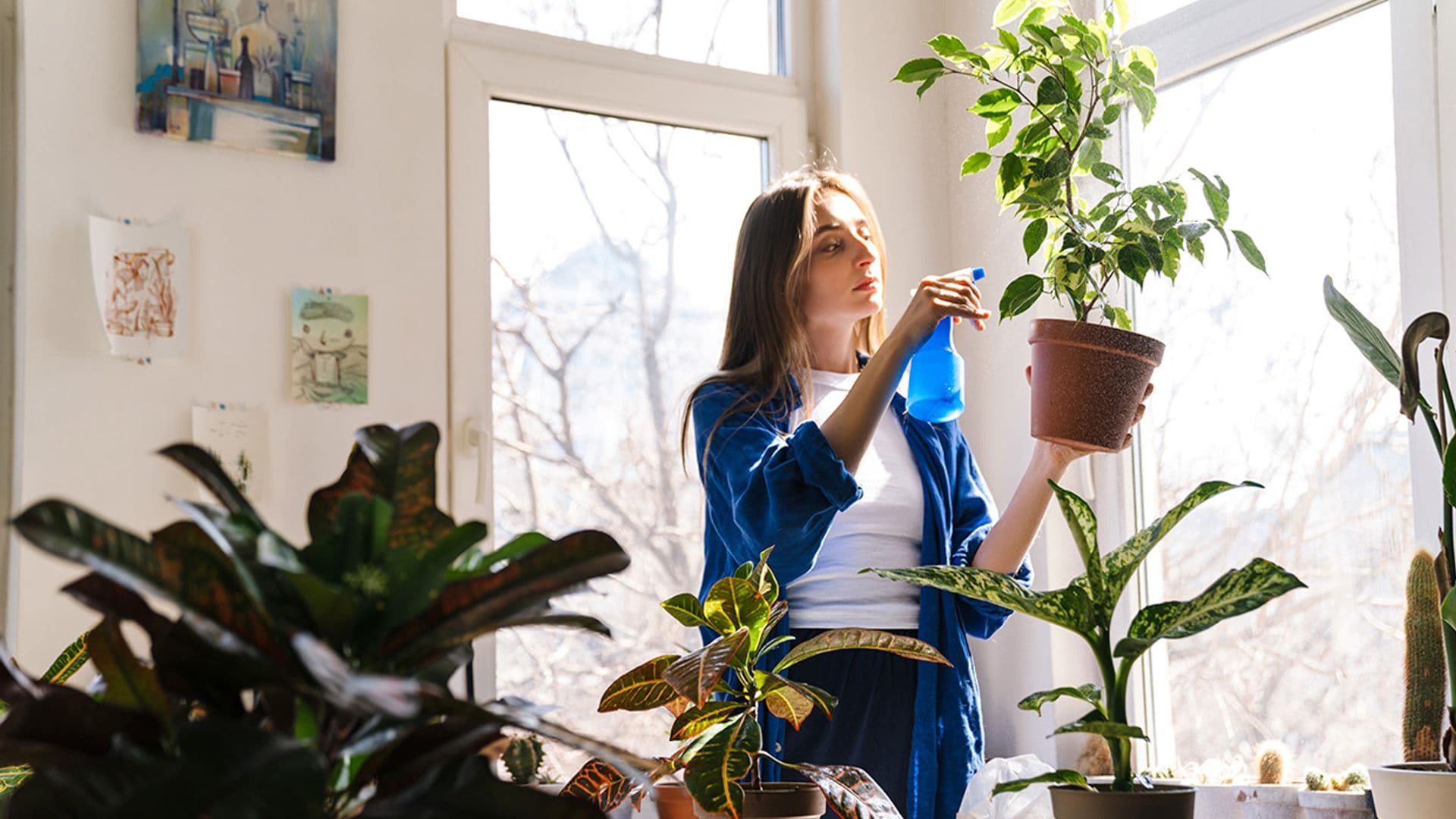 9 ideas para que tus plantas sobrevivan, si te vas de vacaciones