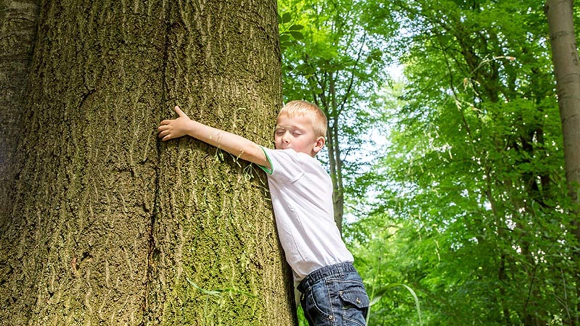 Enseña a tus hijos a cuidar el medio ambiente con estos pequeños gestos