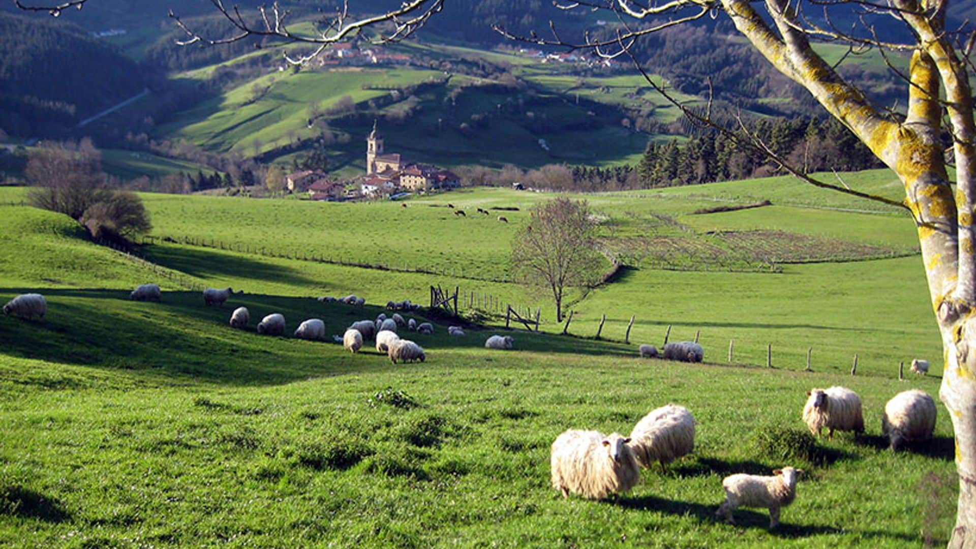 Siete experencias auténticas para vivir en Gorbeia, el corazón verde del País Vasco