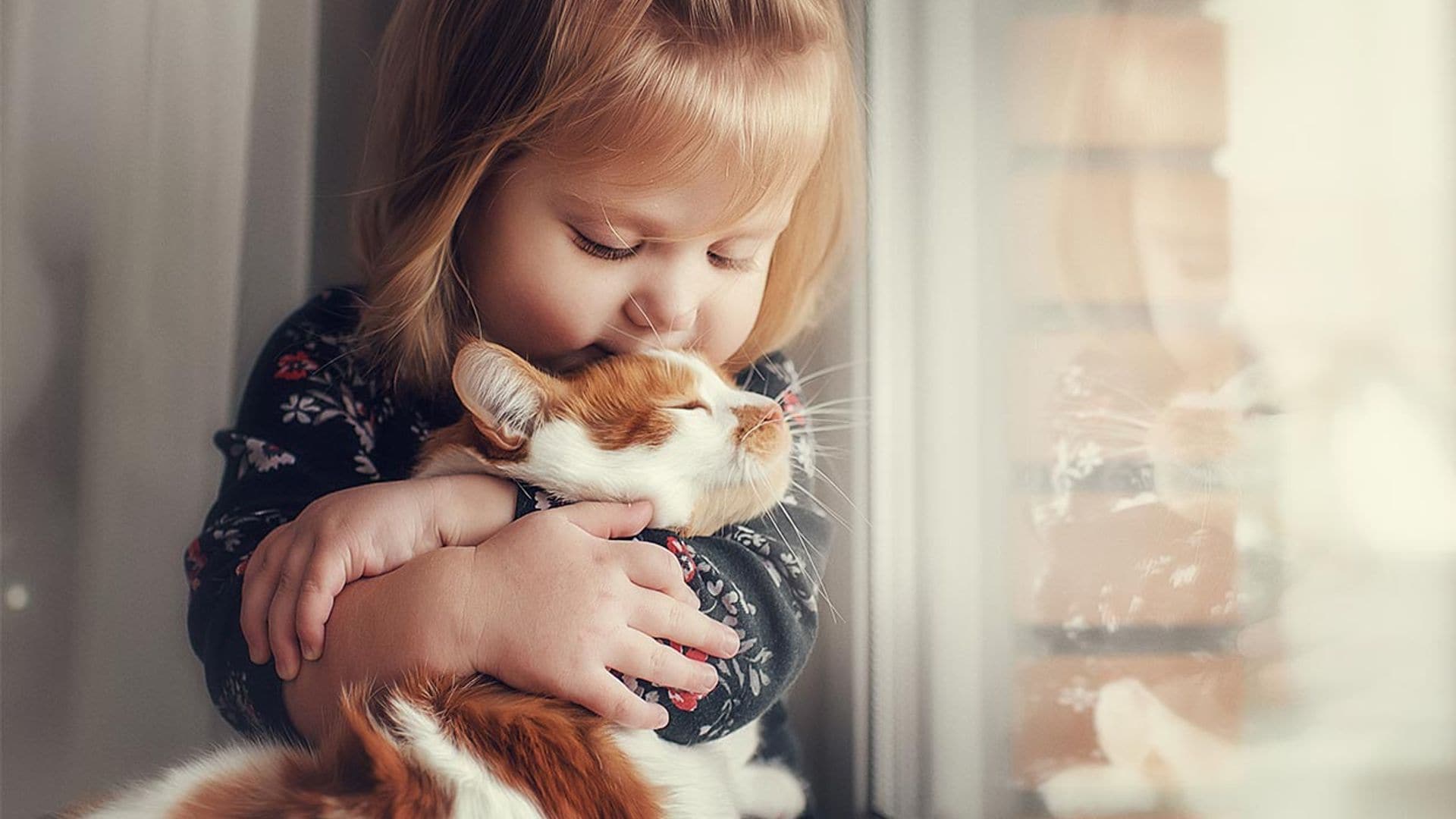 Estas son las razas de gatos más cariñosos con los niños