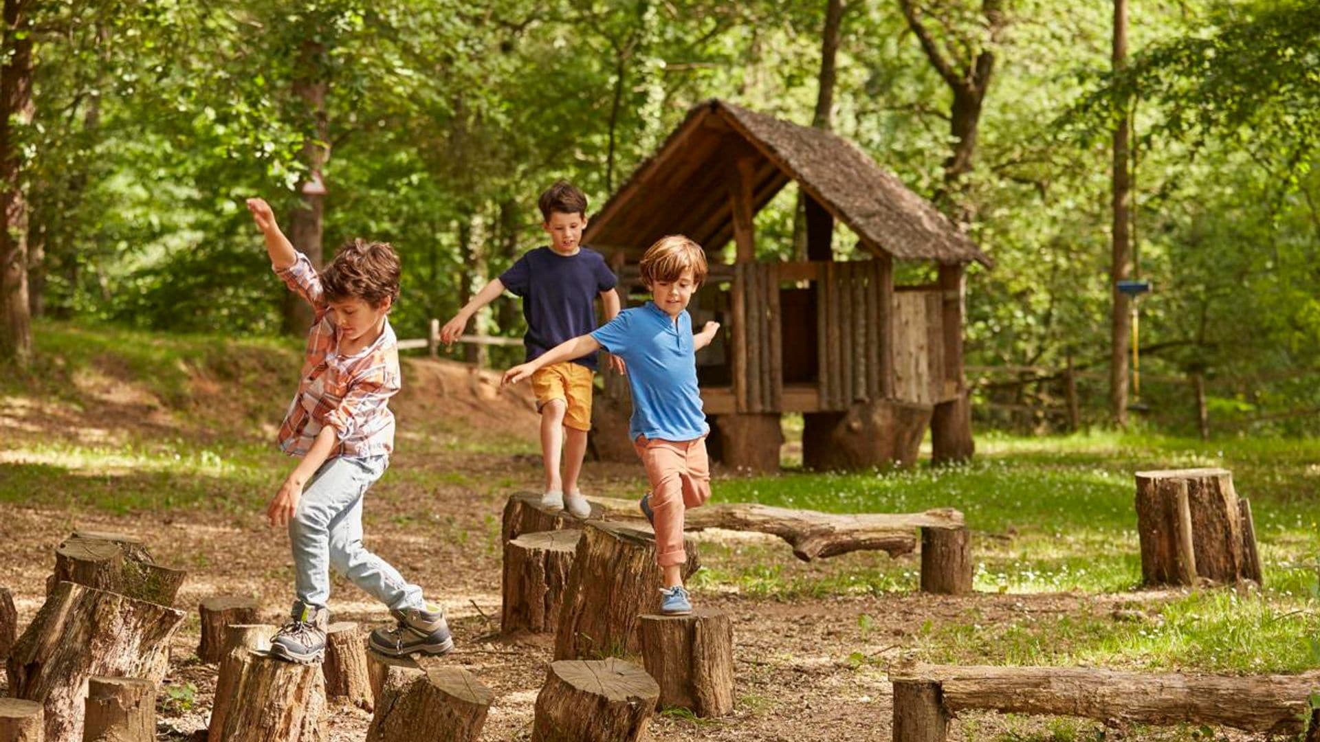 Los mejores bosques de España para disfrutar con niños