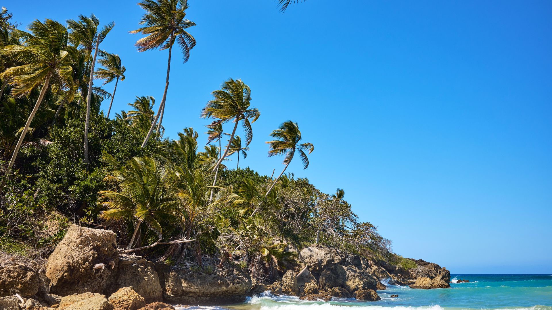 En la zona de Río San Juan, en República Dominicana, se esconden algunos de los más bellos arenales del Caribe, como este de playa Grande