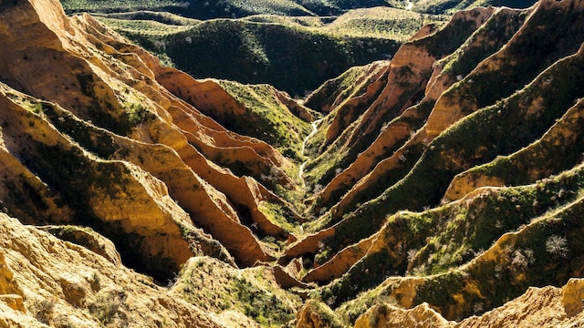 barrancas de buruj n