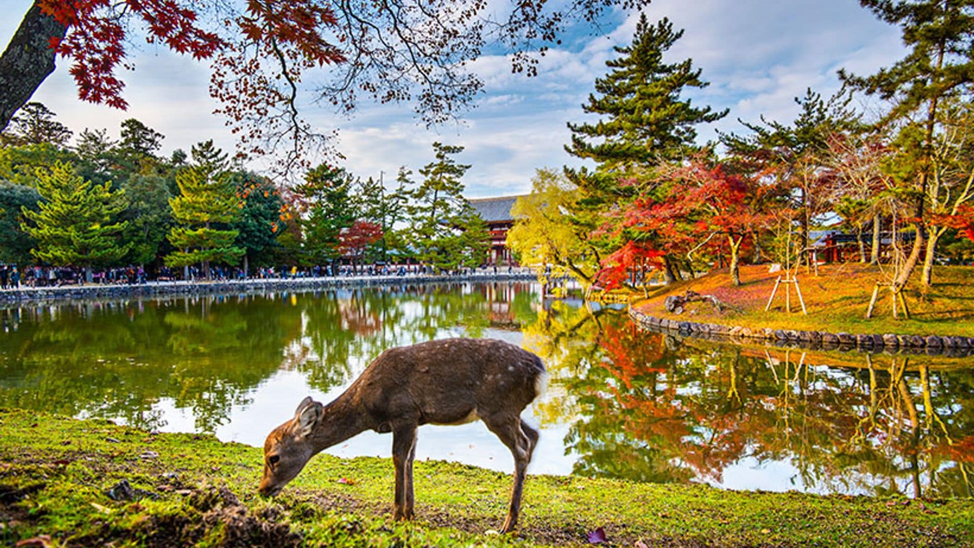 Los diez lugares que no te puedes perder en tu primer viaje a Japón