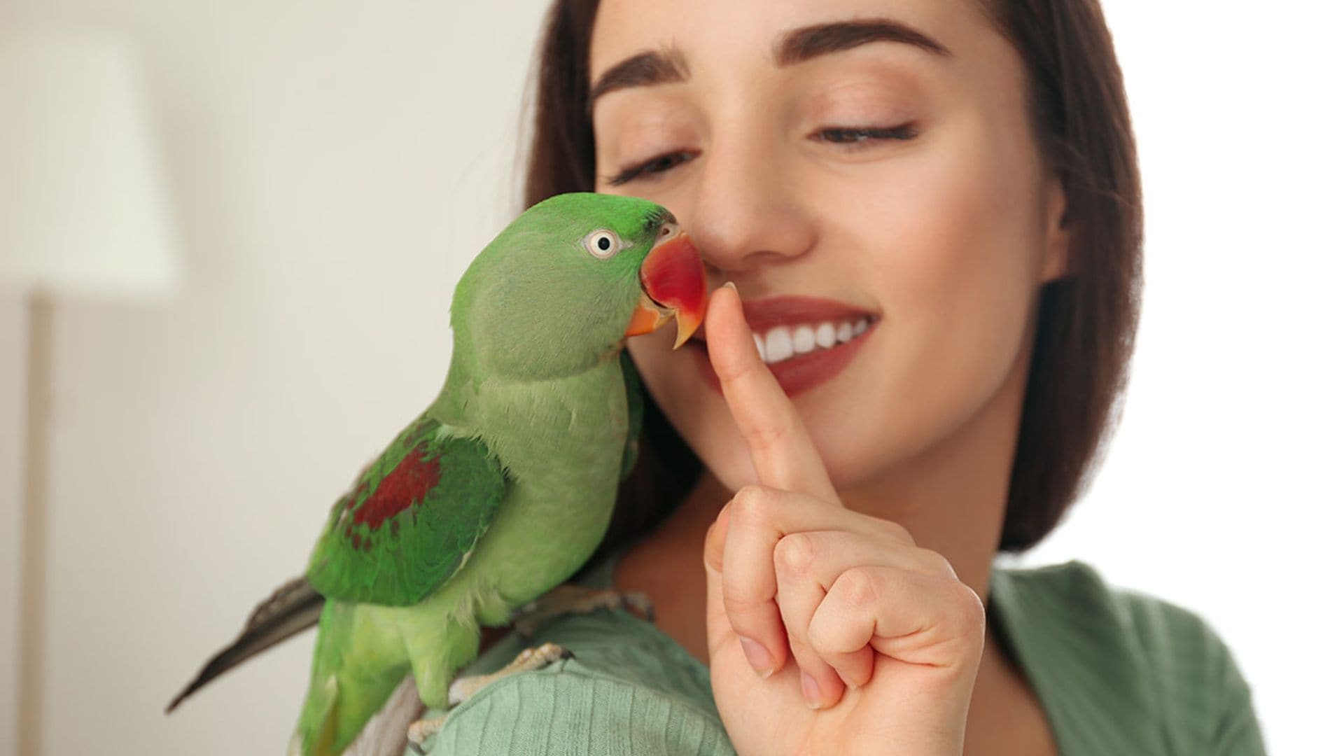 Felicidad e ira: así es como tu loro te expresa amistad o miedo