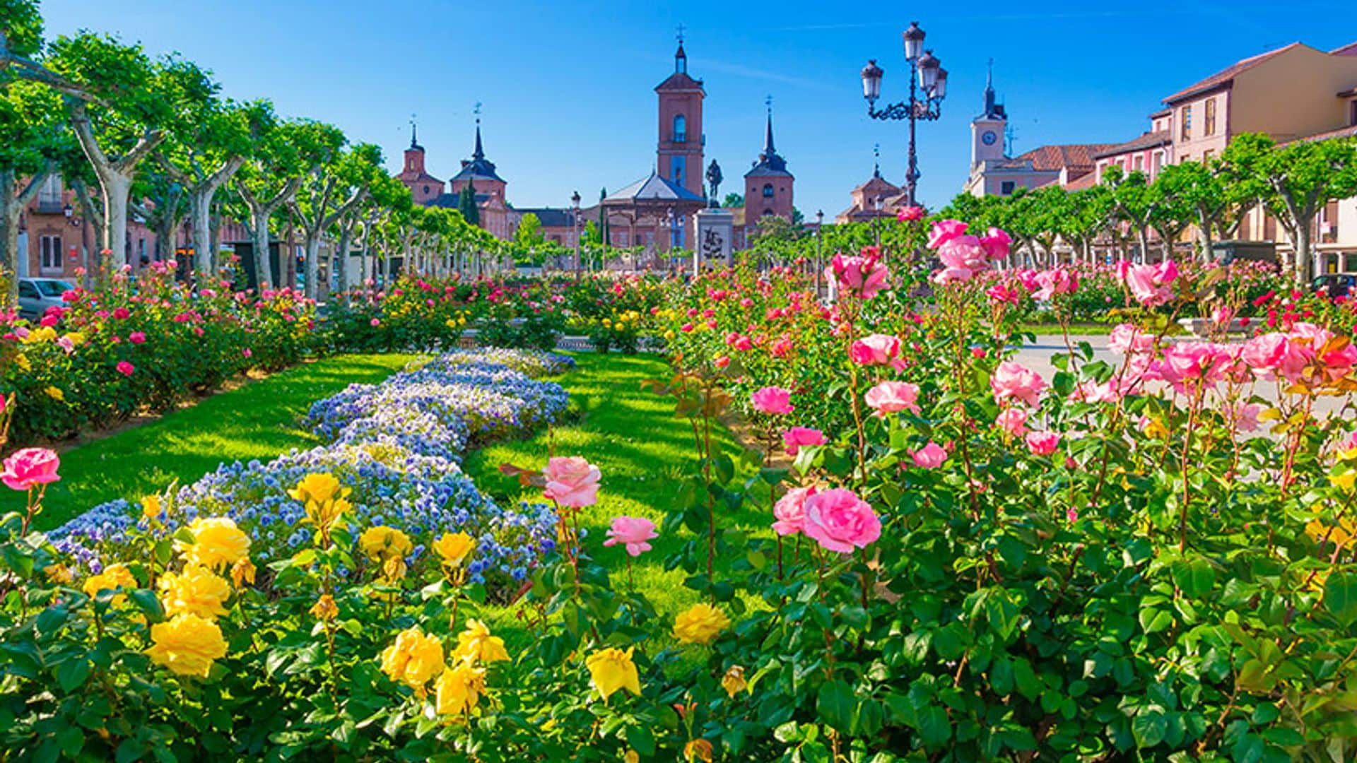 Ideas para un día de primavera en Alcalá de Henares 