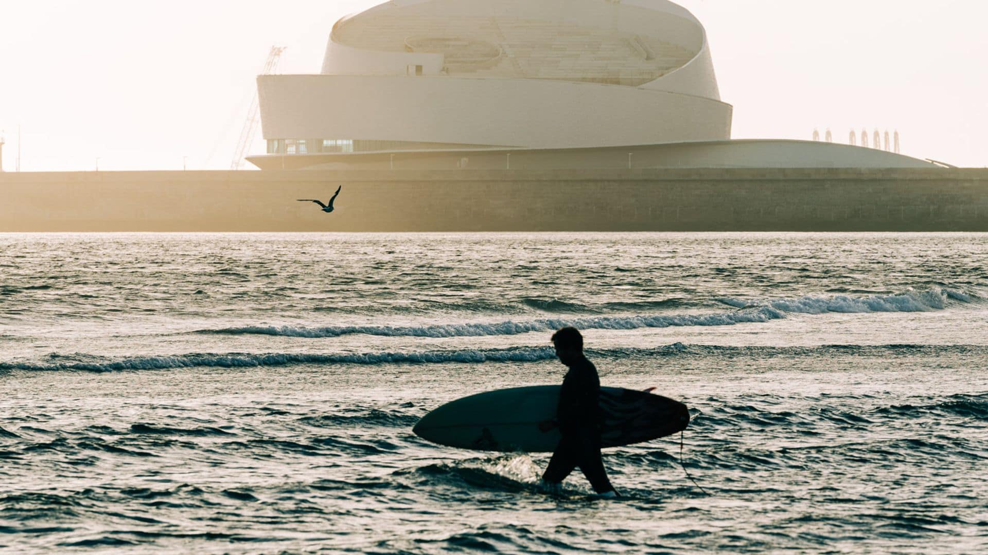 Câmara Municipal de Matosinhos   