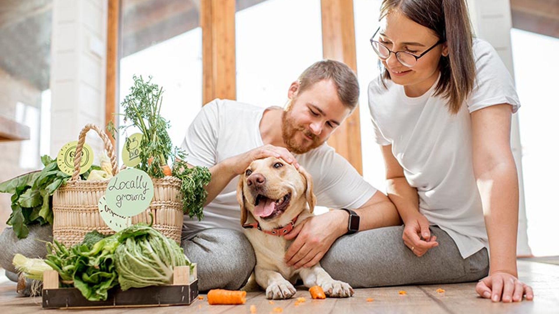 Soy vegana, ¿puede serlo mi perro?