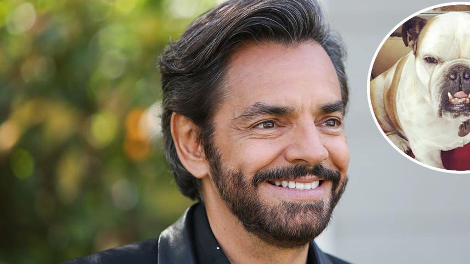 Eugenio Derbez revela que su perrita se enfermó porque lo extraña