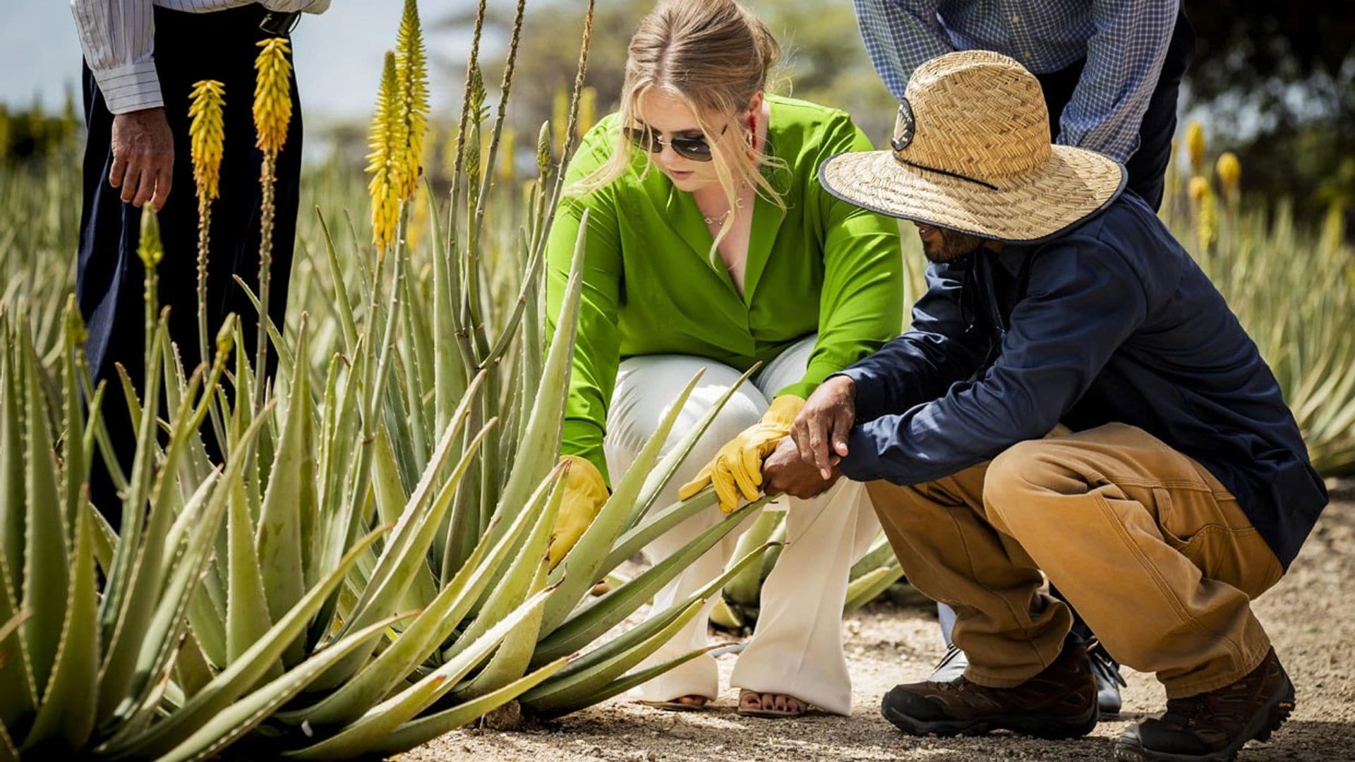 Taller de aloe vera, 'safari' y fútbol: los mejores momentos de la Familia Real holandesa en su último día en Aruba