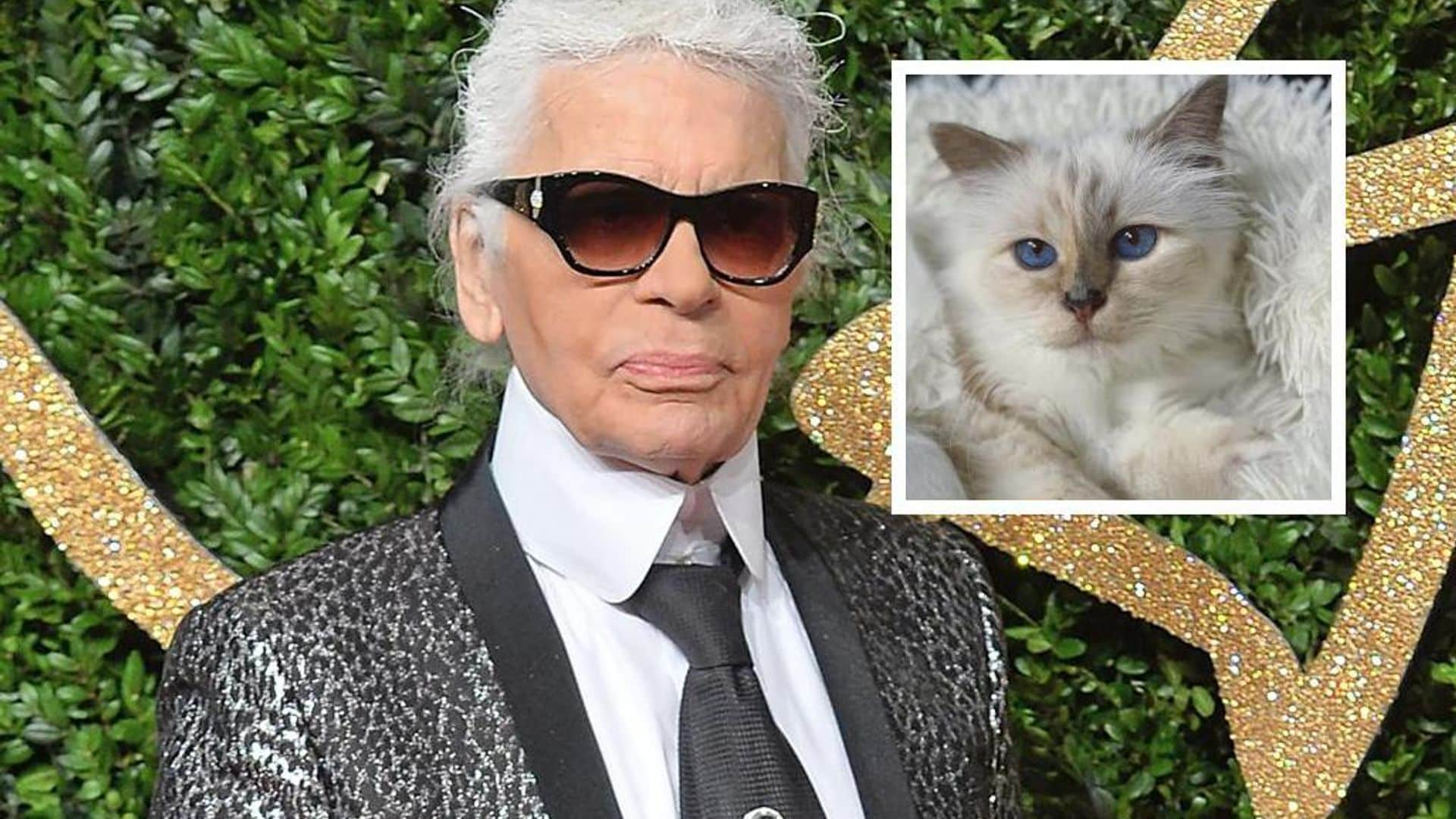 Choupette, la gatita de Karl Lagerfeld, la invitada especial en la Met Gala