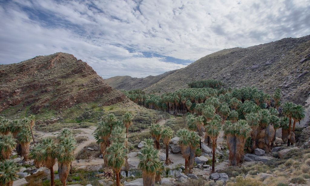 Indian Canyons in Palm Springs