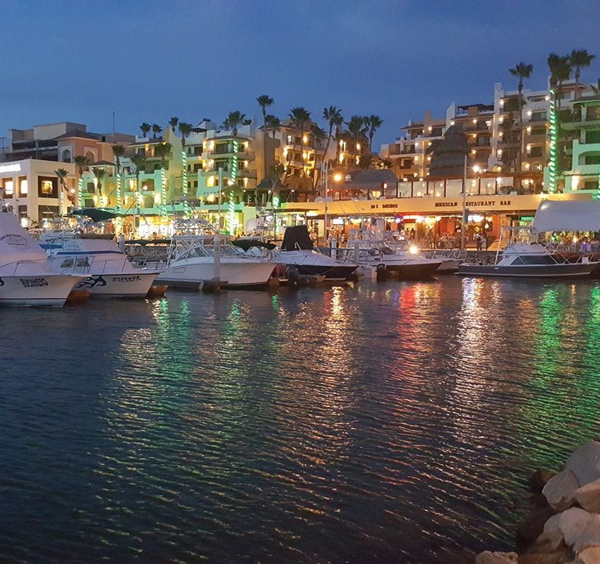 marina cabos san lucas night