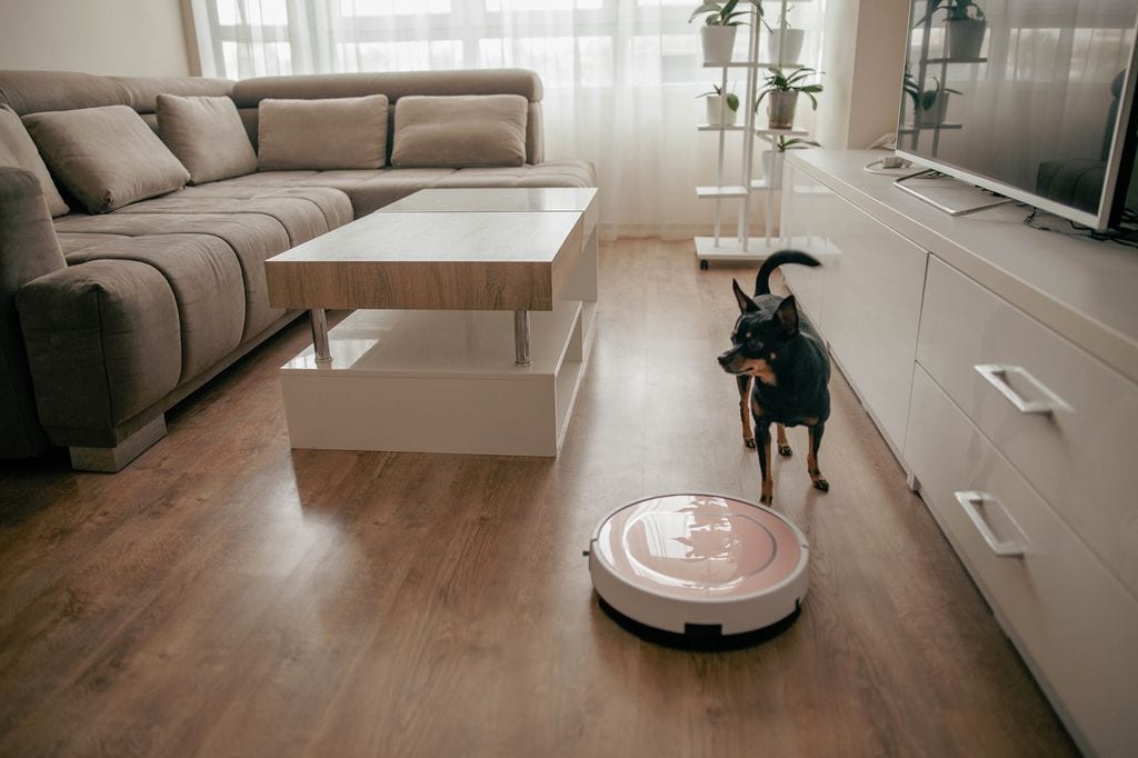 Un perro con un robot aspirador blanco