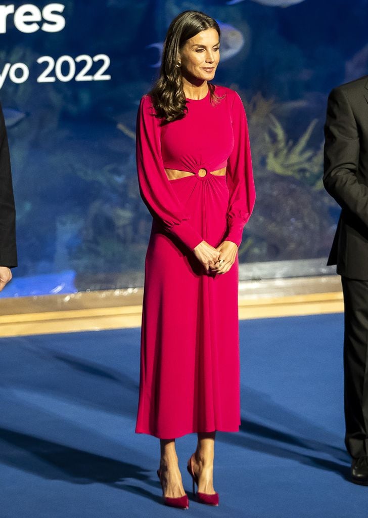 Reina Letizia Cruz Roja