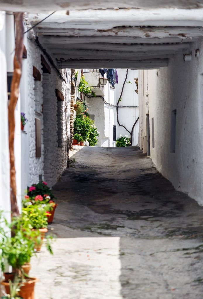 alpujarra granada