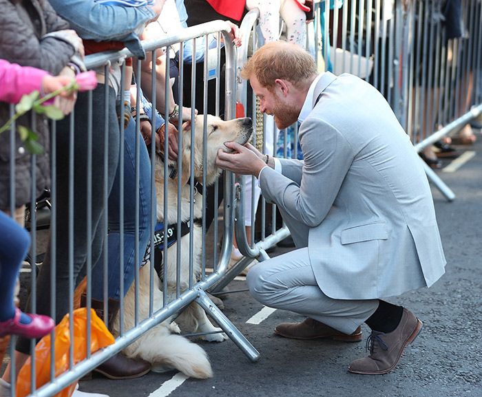 Harry y Meghan visitan Sussex por primera vez