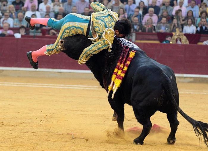 Cayetano Rivera sufre una aparatosa cornada en la Feria del Pilar de Zaragoza