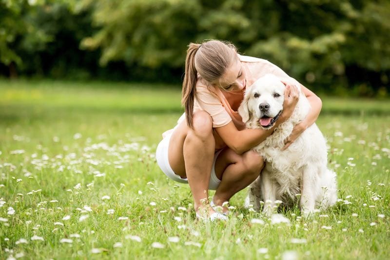 perro abrazo