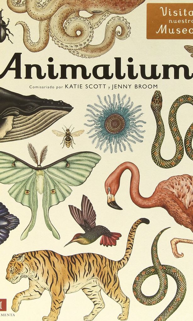 animalium de katie scott y jenny broom impedimenta 