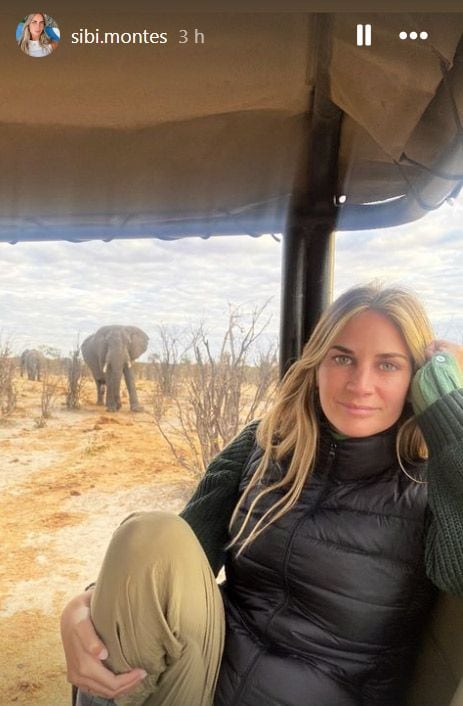 Sibi Montes con elefantes durante un safari en su luna de miel con Mateo Ibáñez