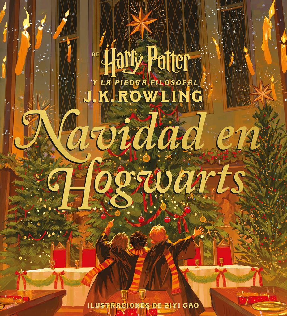 Libro Navidad en Hogwarts