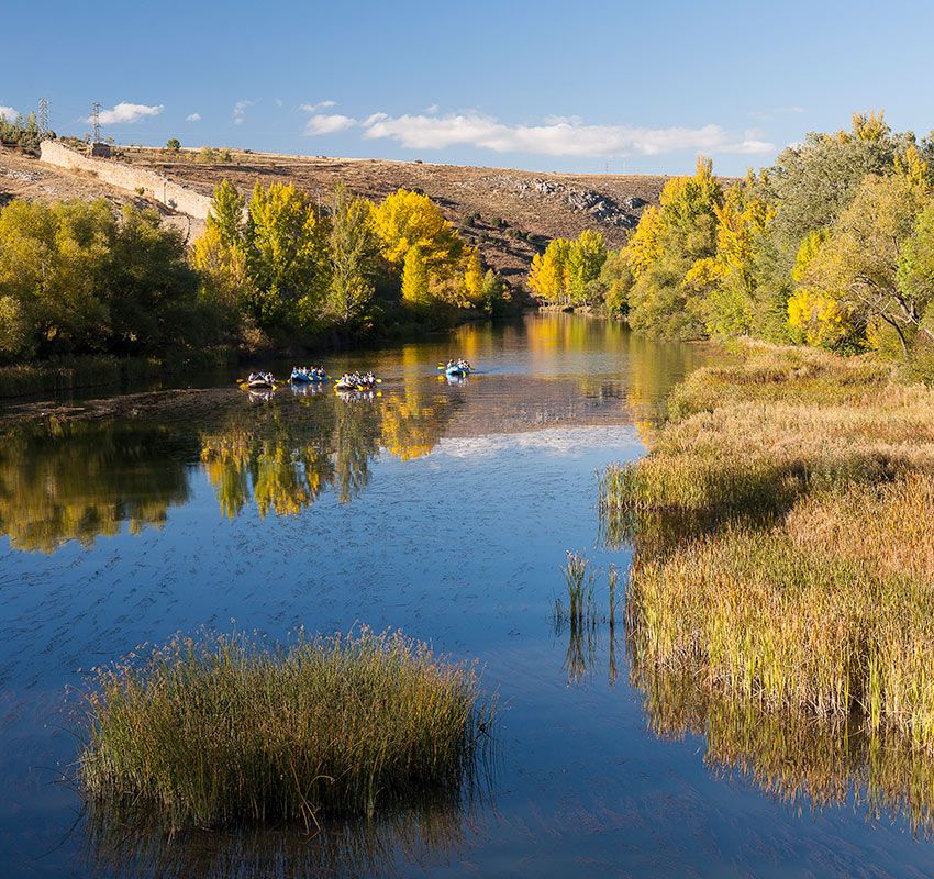 Remando por el río Duero, Soria