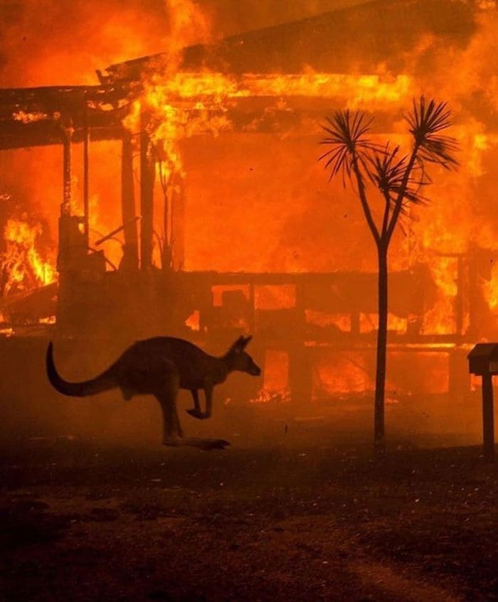 Incendios en Australia