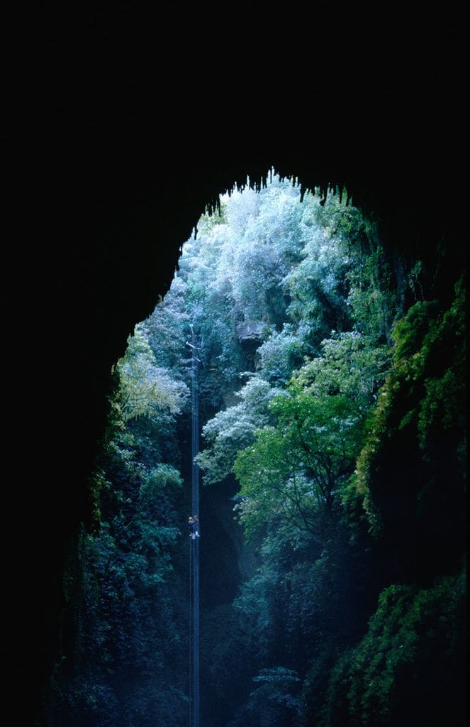 cueva-new-zeland