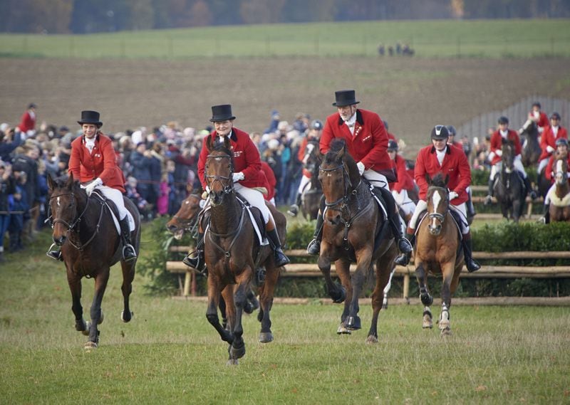 caballos gtres