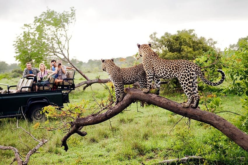 kruger gettyimages 104329693