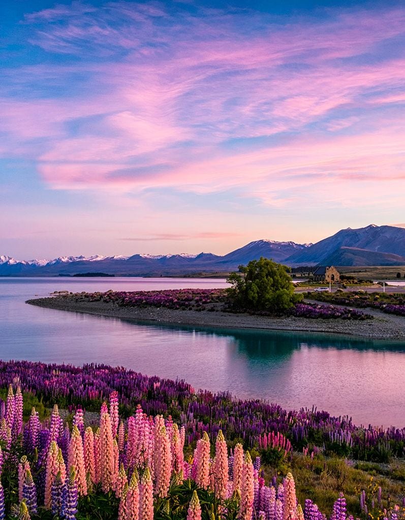 lago tekapo nueva zelanda 6a