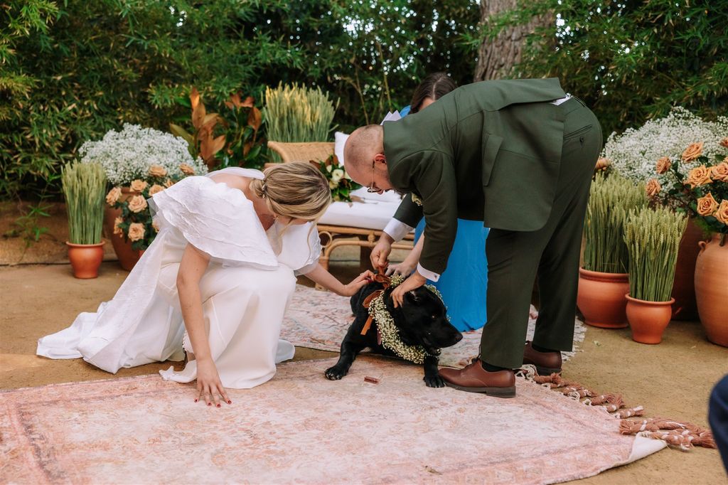 Boda con mascotas