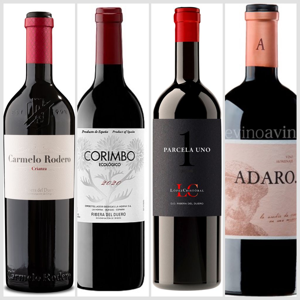 Vinos tintos de Ribera del Duero: Carmelo Rodero Crianza 2021; Corimbo Ecológico 2020; Parcela Uno 2020 y Adaro 2022