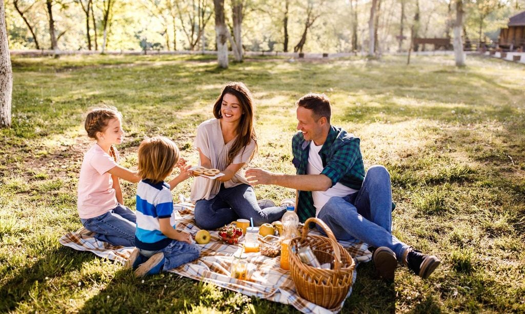 una familia de picnic