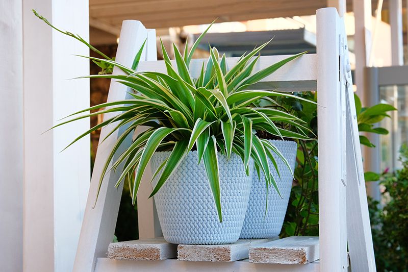 plantas exterior balcon 09a