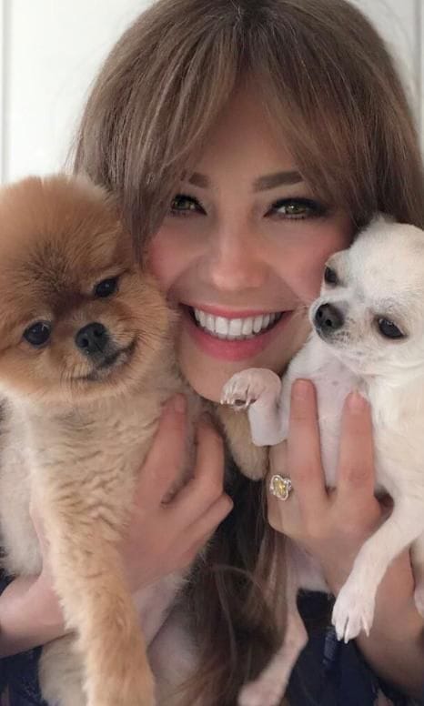 thalia carinosa perros7