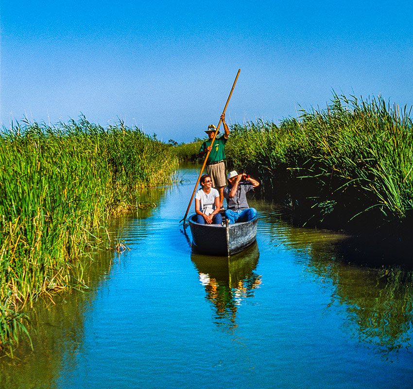 Delta del Ebro, Tarragona