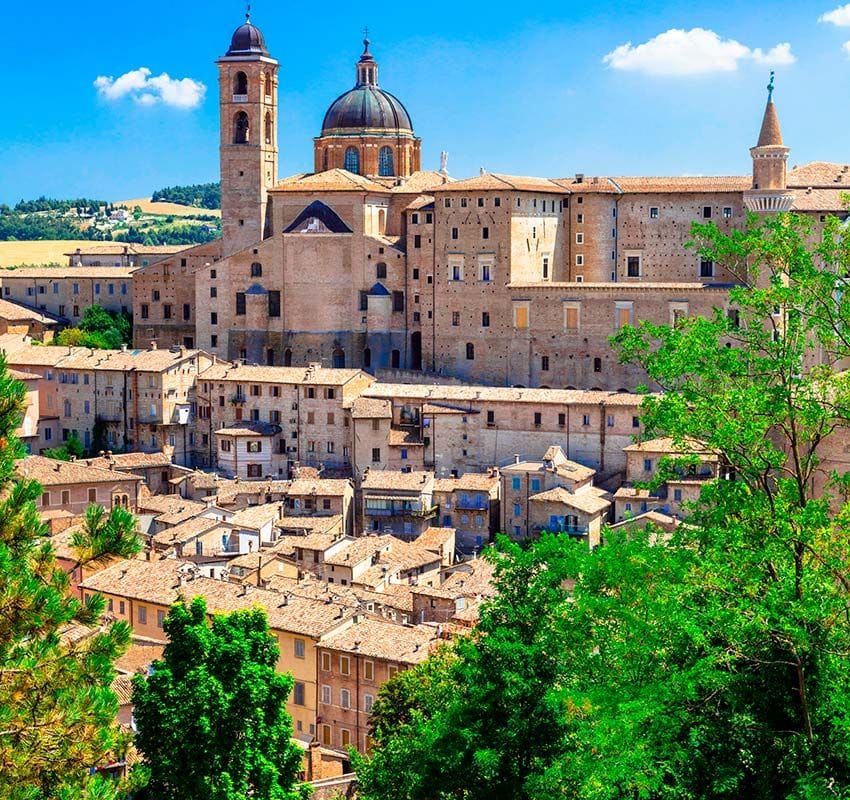 urbino wanhet