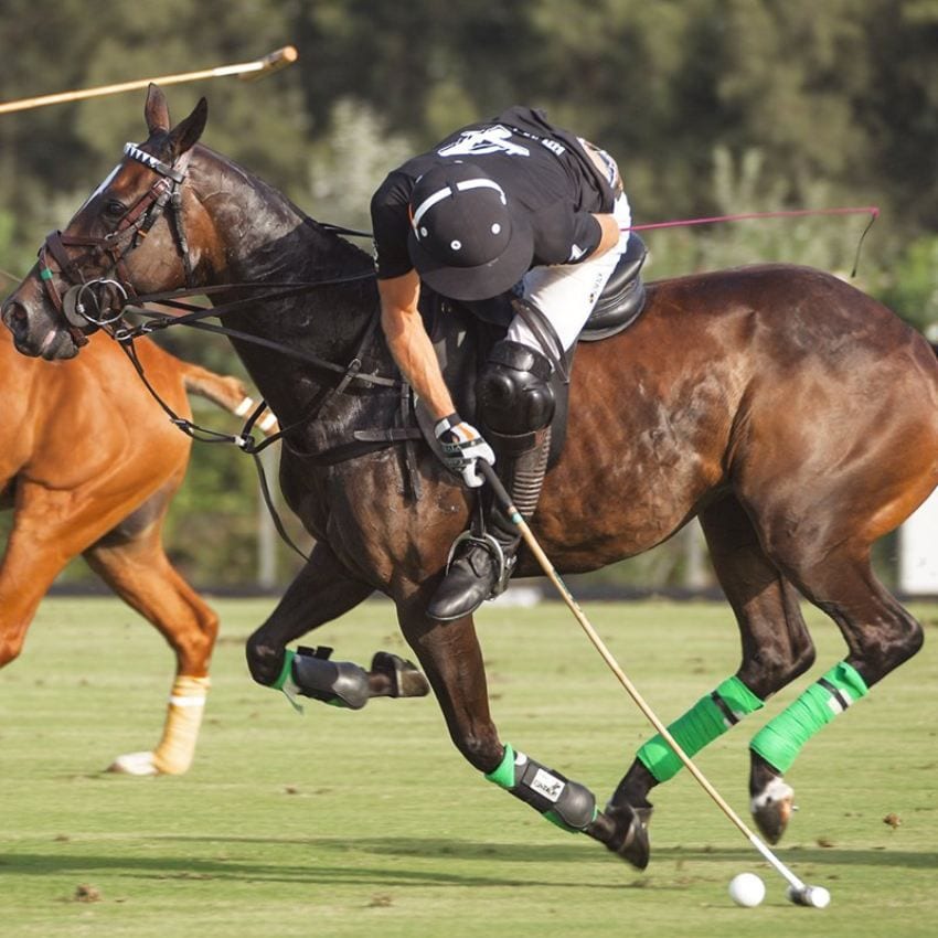 Emoción en el Torneo Internacional de Polo de Sotogrande.