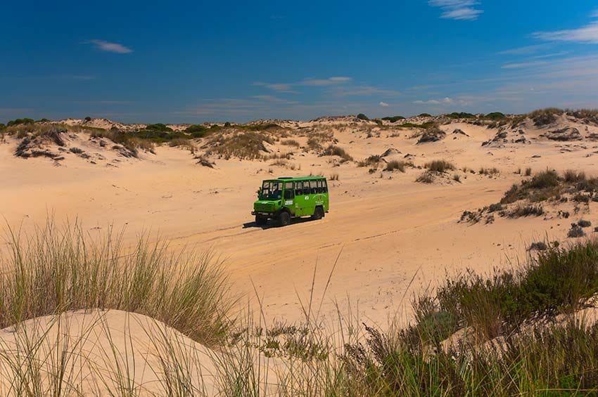 Visita turistica al PNacional Donana Huelva