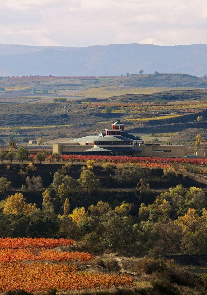 Museo Vivanco de la Cultura del Vino